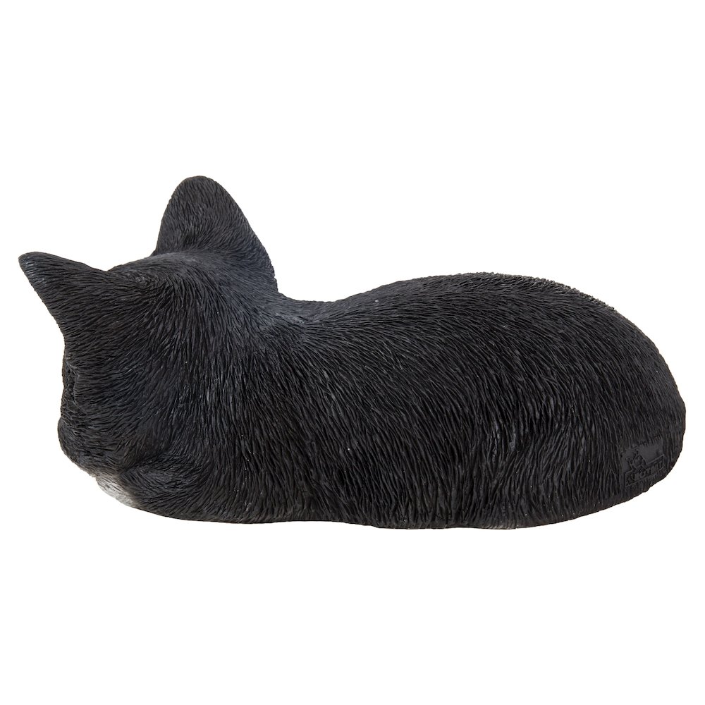 Black & White Kitten Sleeping. Picture 3