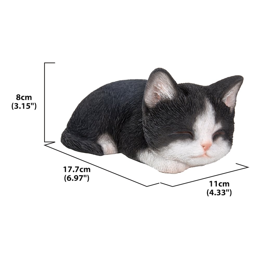 Black & White Kitten Sleeping. Picture 6