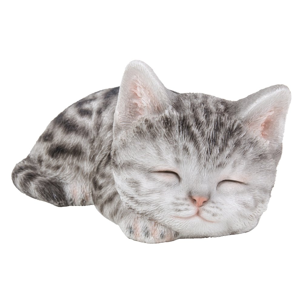 Grey Tabby Kitten Sleeping. Picture 2