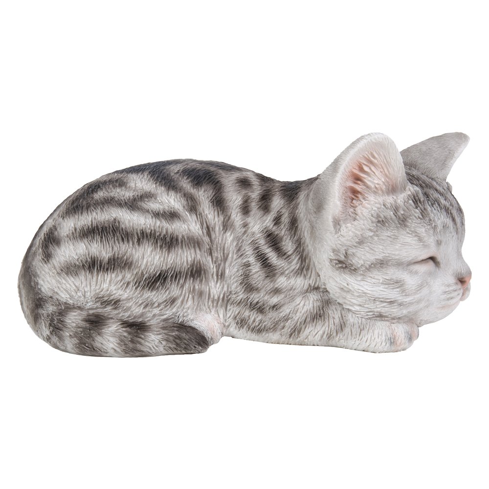 Grey Tabby Kitten Sleeping. Picture 1