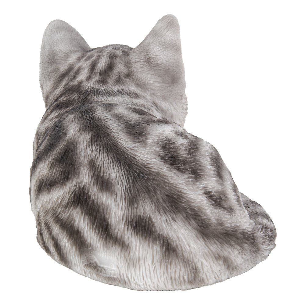 Grey Tabby Kitten Sleeping. Picture 4