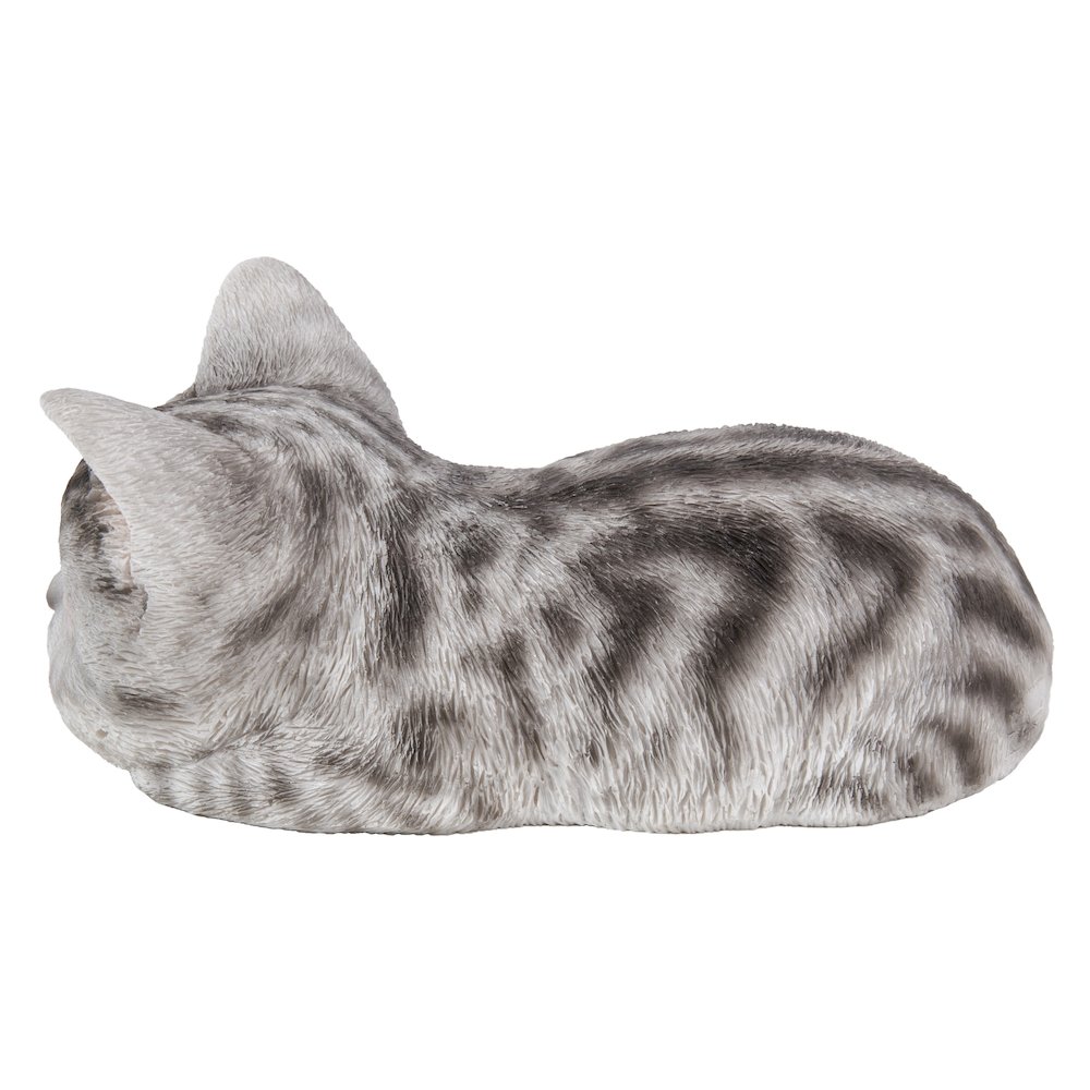 Grey Tabby Kitten Sleeping. Picture 3