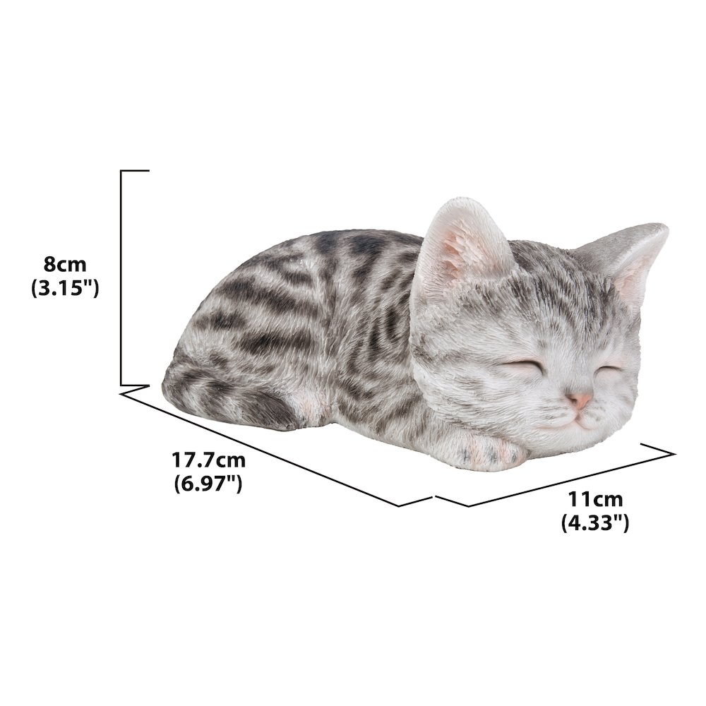 Grey Tabby Kitten Sleeping. Picture 5