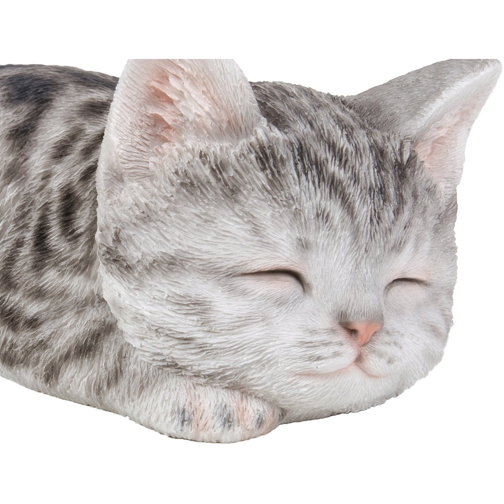Grey Tabby Kitten Sleeping. Picture 6
