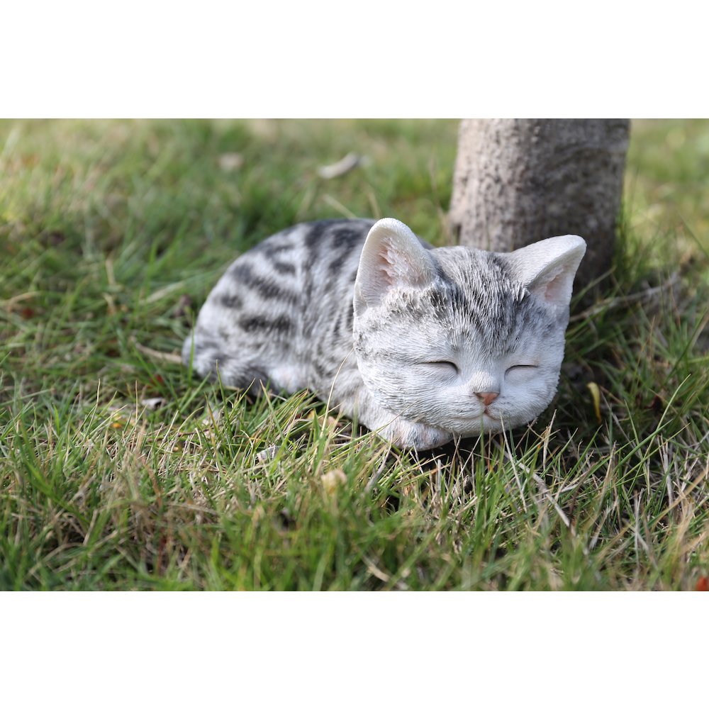 Grey Tabby Kitten Sleeping. Picture 7