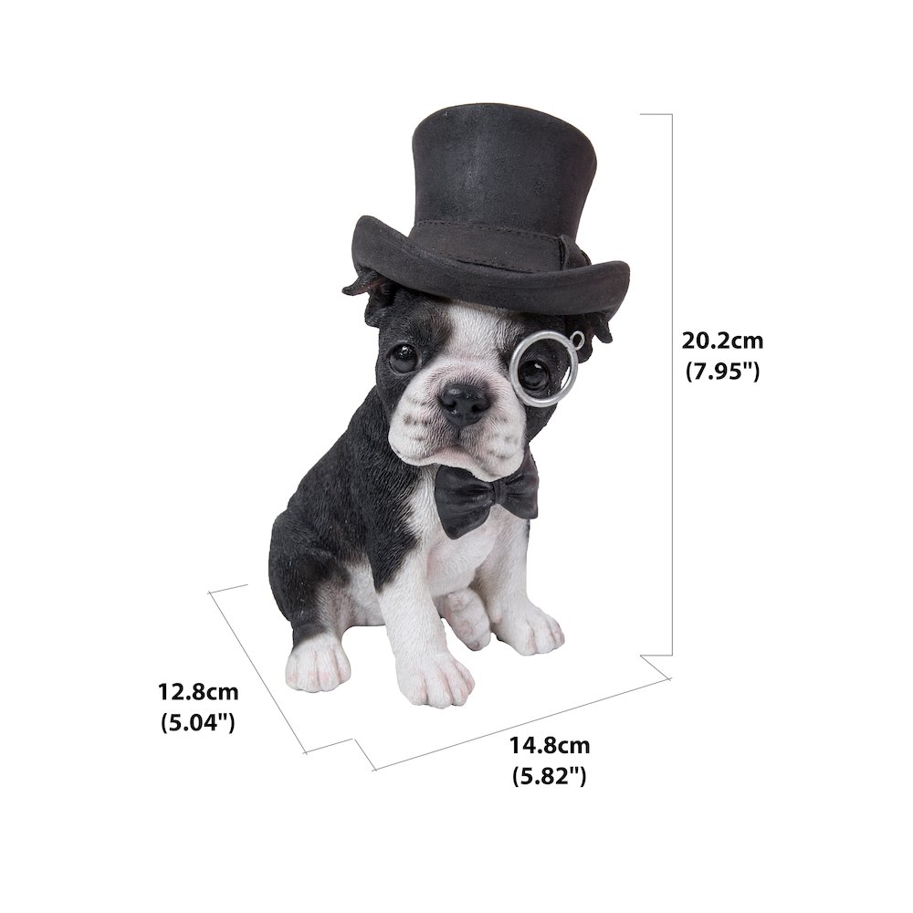 Boston Terrier W/Top Hat, Spectacle, & Bow Tie Statue. Picture 5