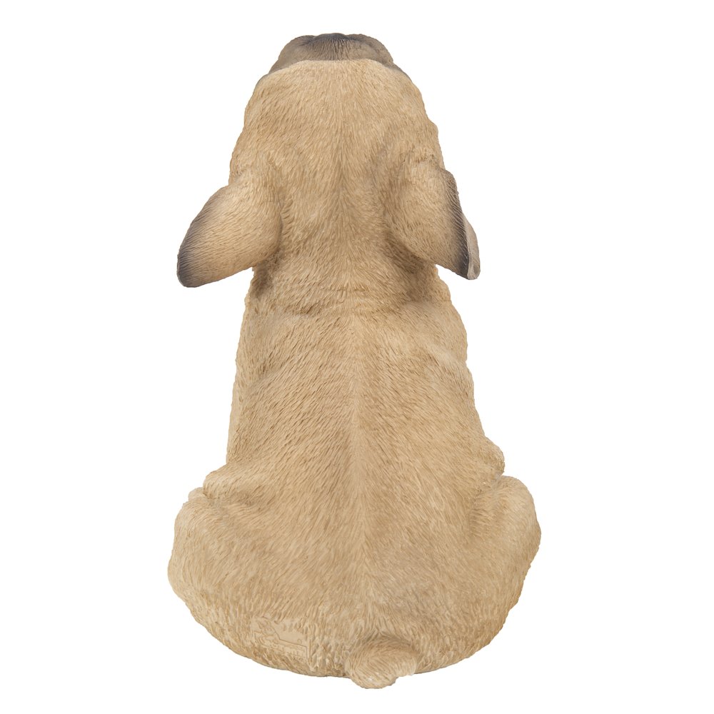 French Bulldog Puppy Howling. Picture 3