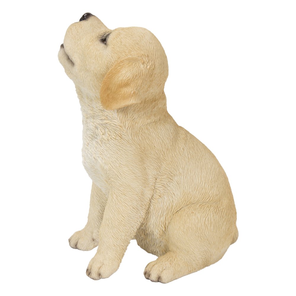 Yellow Labrador Puppy Howling. Picture 4