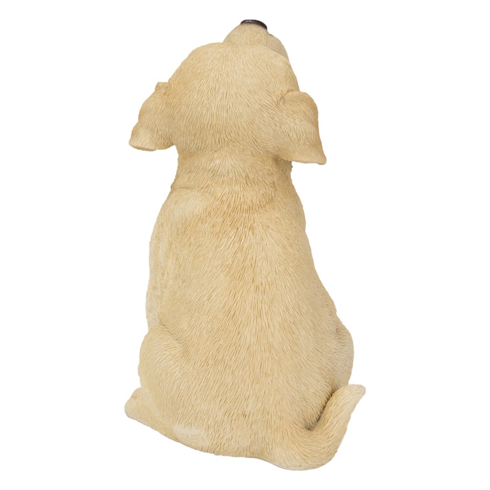 Yellow Labrador Puppy Howling. Picture 1