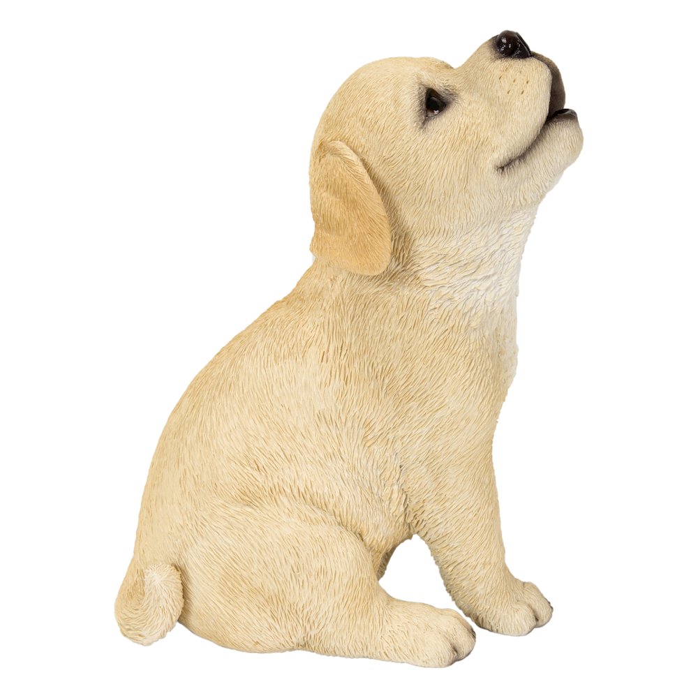 Yellow Labrador Puppy Howling. Picture 3