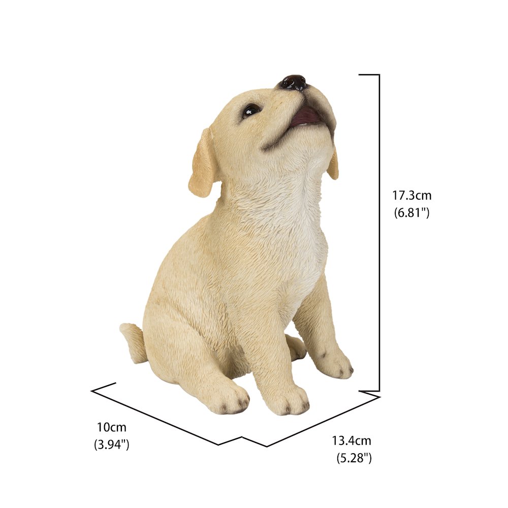 Yellow Labrador Puppy Howling. Picture 5