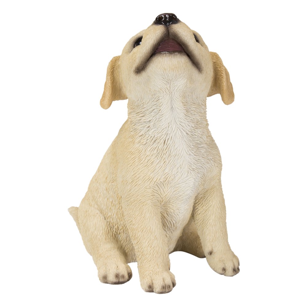 Yellow Labrador Puppy Howling. Picture 2