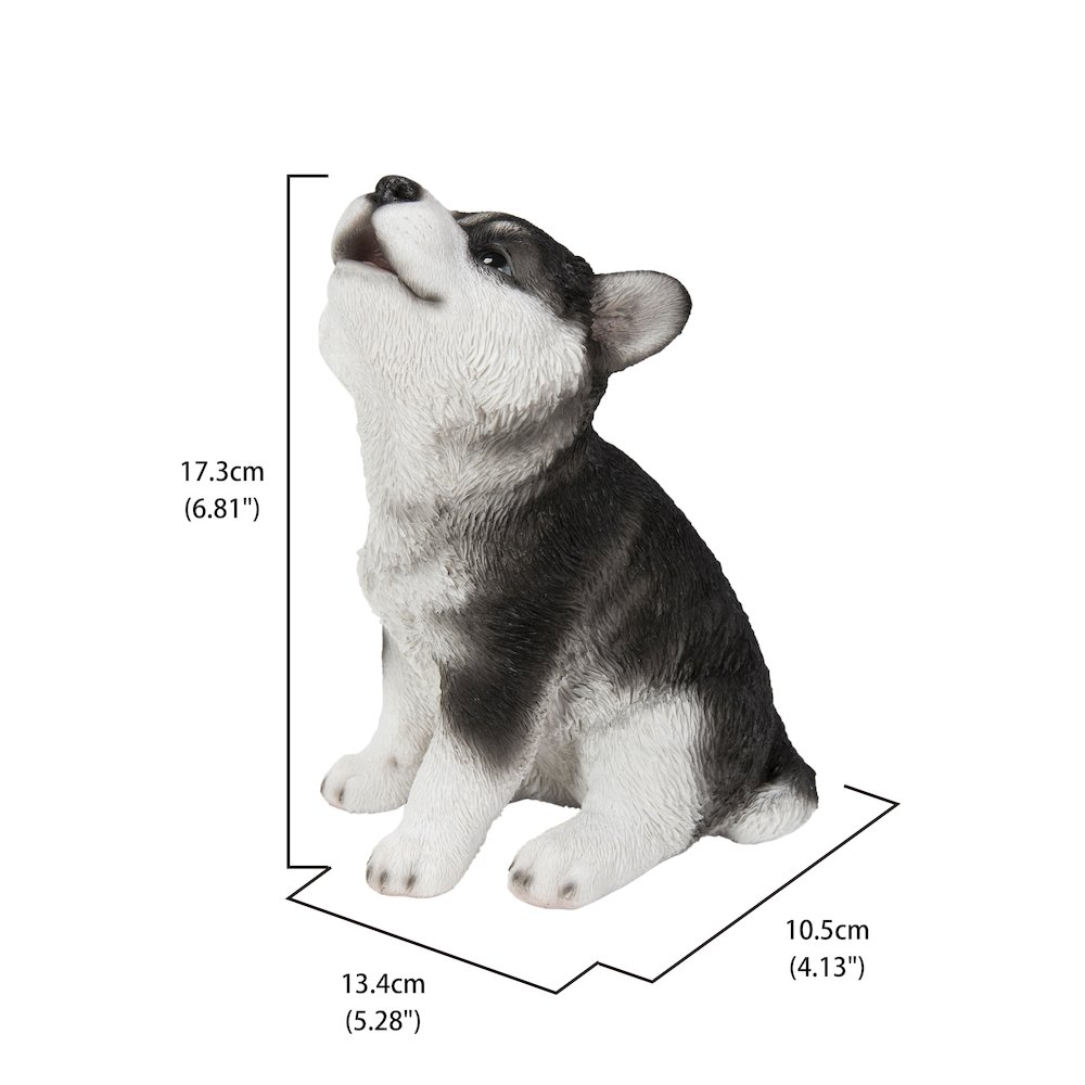 Siberian Husky Puppy Howling. Picture 5