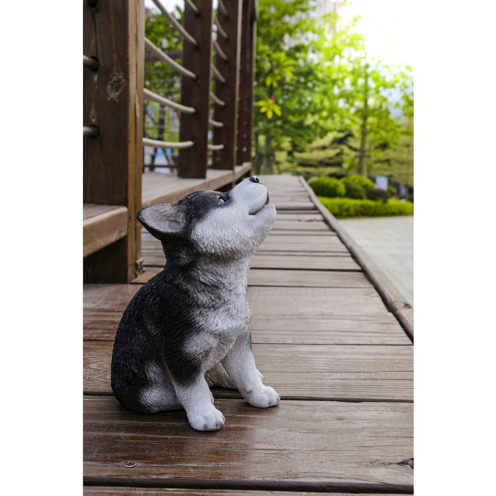 Siberian Husky Puppy Howling. Picture 7