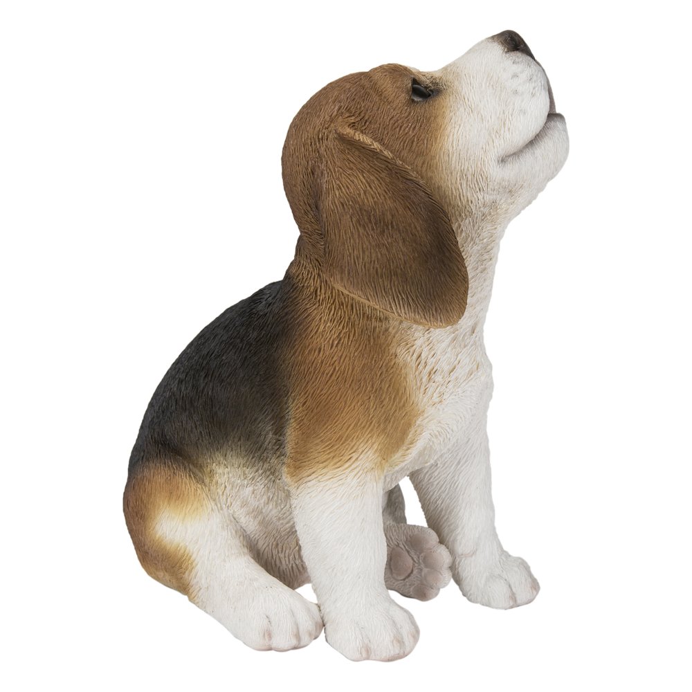 Beagle Puppy Howling. Picture 1