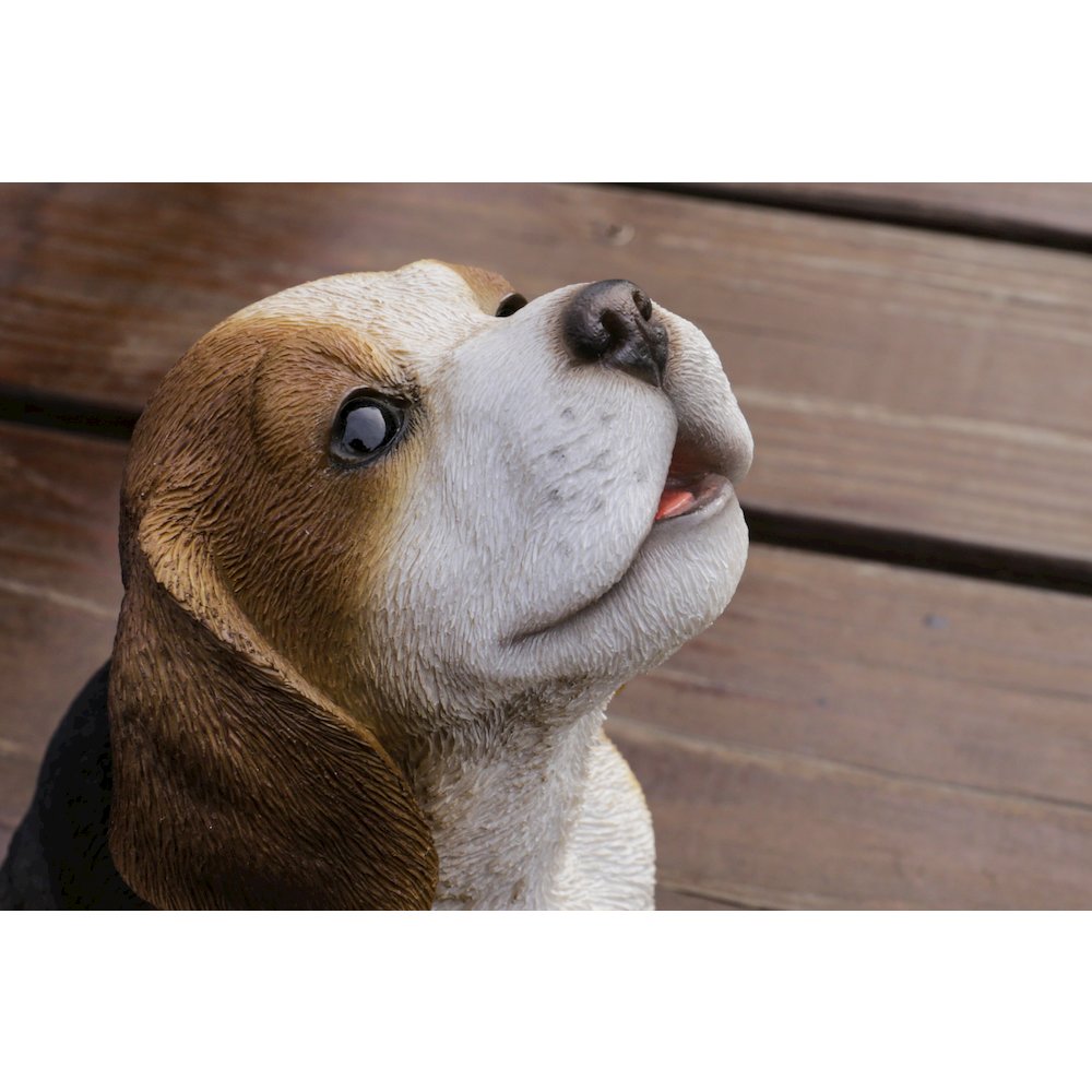 Beagle Puppy Howling. Picture 5