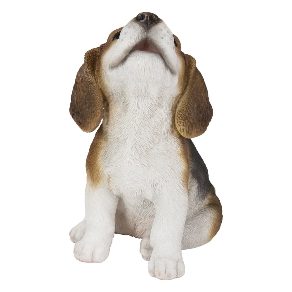 Beagle Puppy Howling. Picture 4