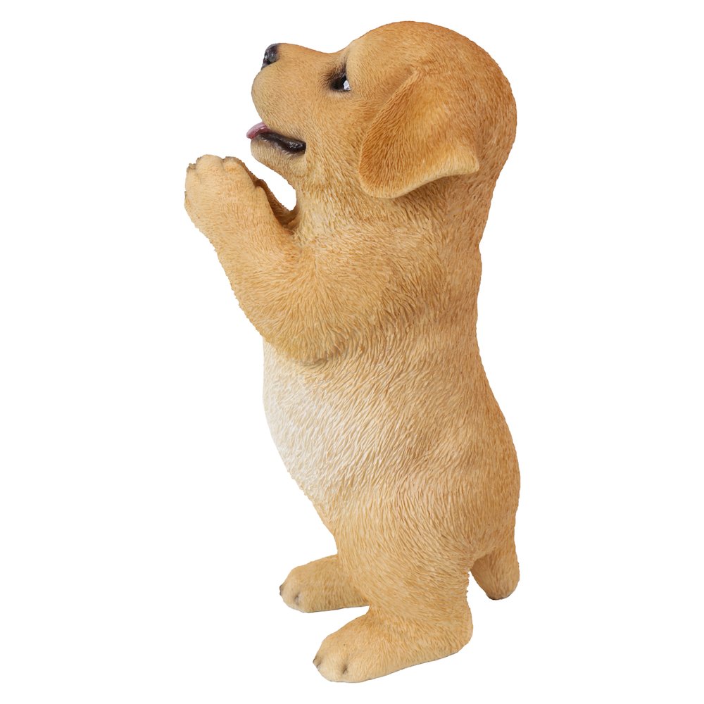 Yellow Labrador Puppy Praying. Picture 3