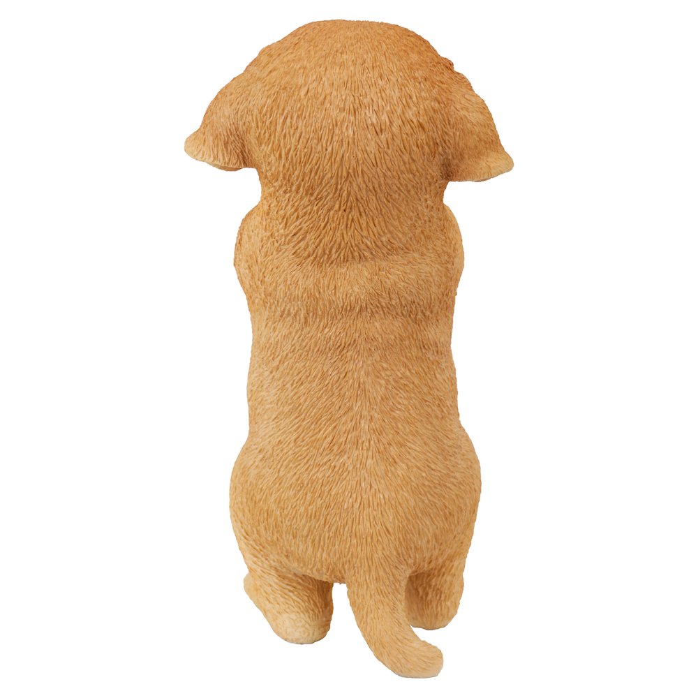 Yellow Labrador Puppy Praying. Picture 1