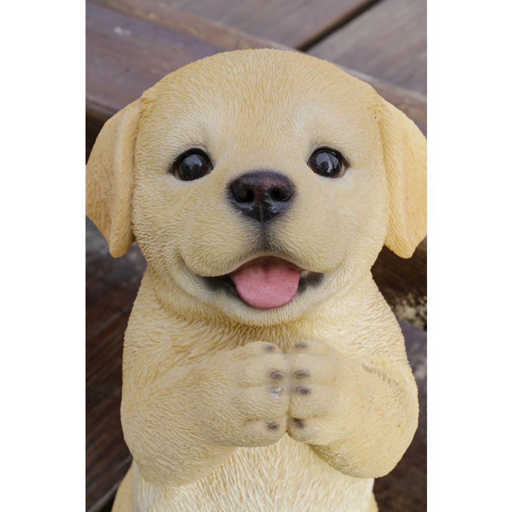 Yellow Labrador Puppy Praying. Picture 6