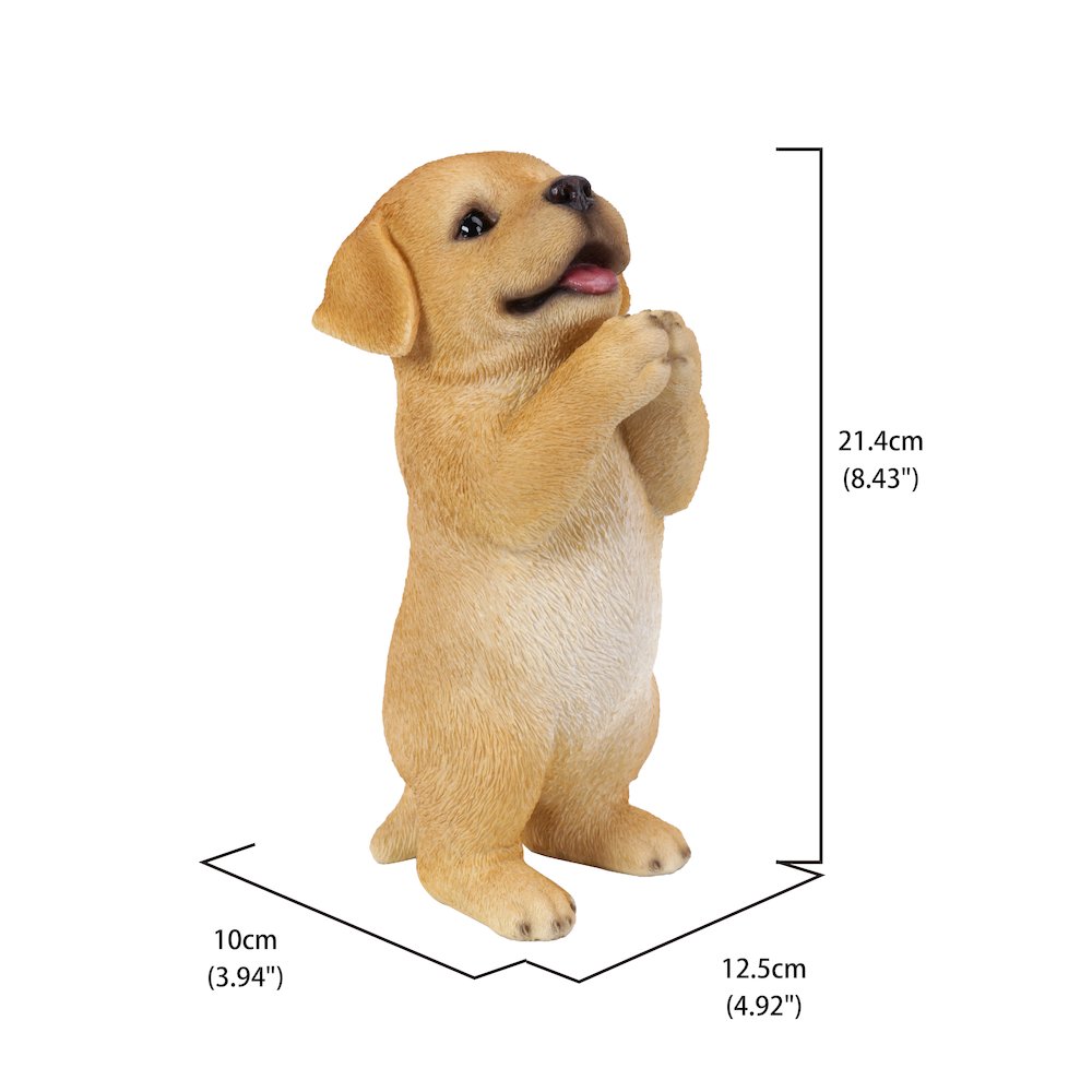 Yellow Labrador Puppy Praying. Picture 5