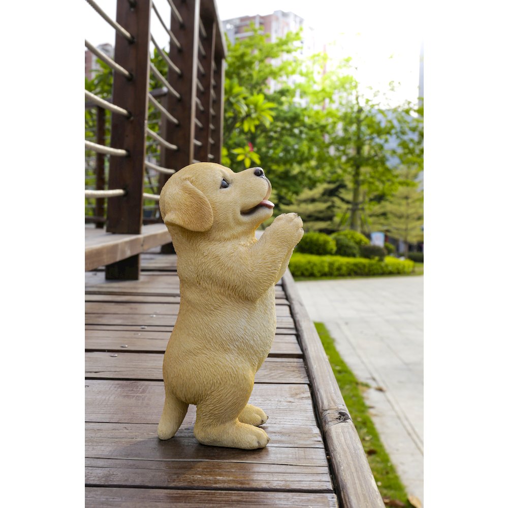 Yellow Labrador Puppy Praying. Picture 8