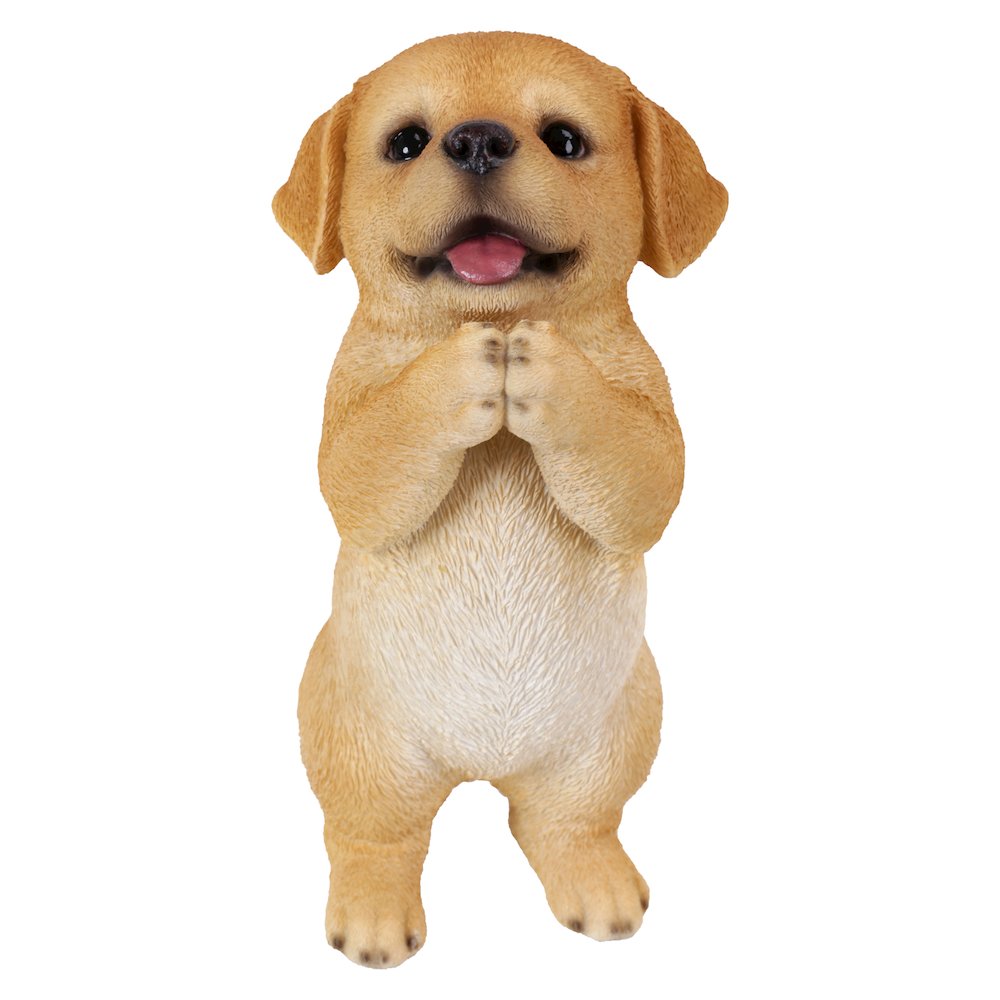 Yellow Labrador Puppy Praying. Picture 2