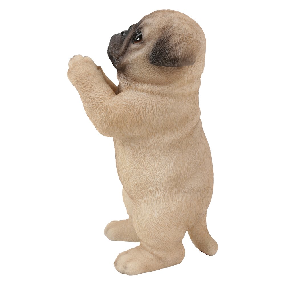 Pug Puppy Statue Praying. Picture 1