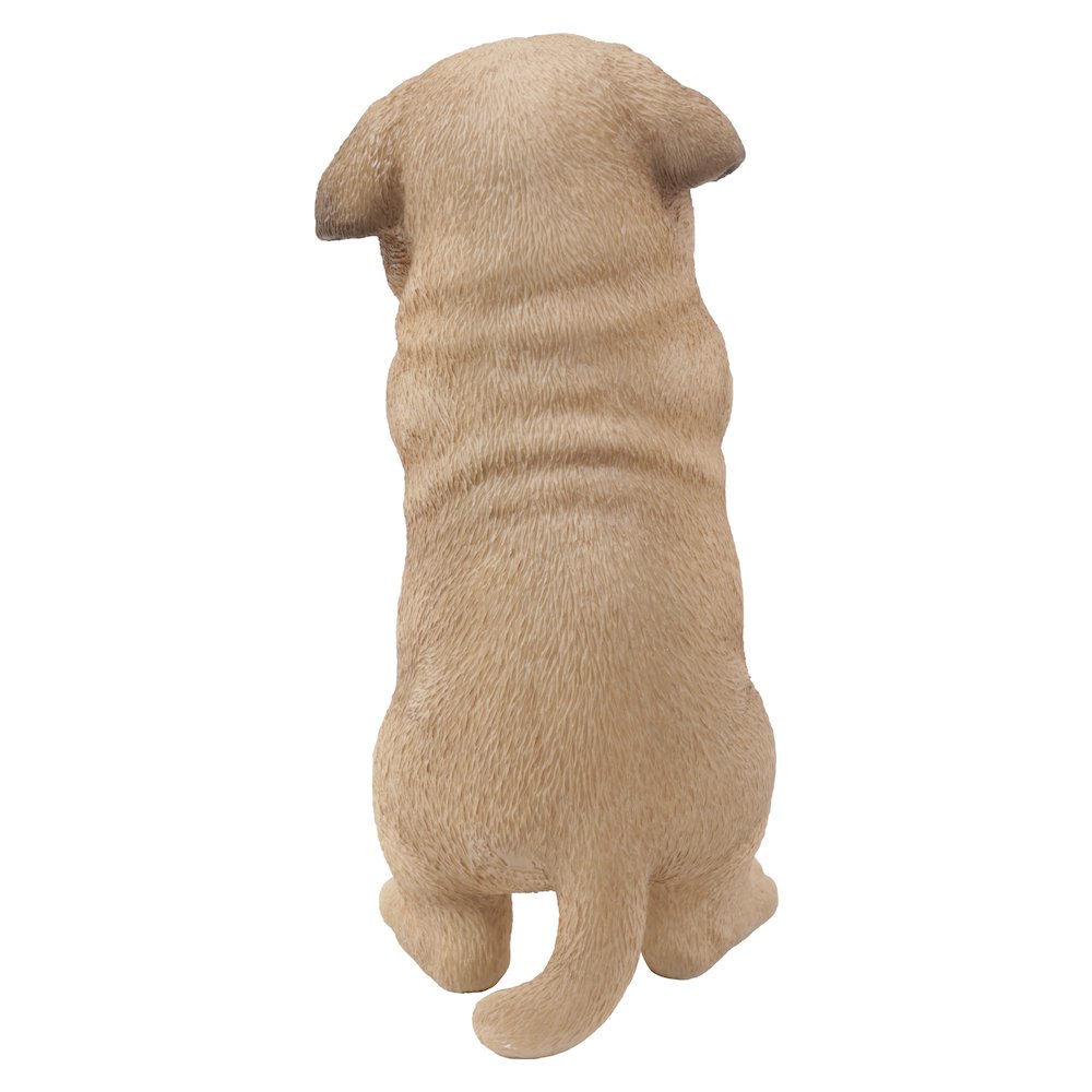 Pug Puppy Statue Praying. Picture 3