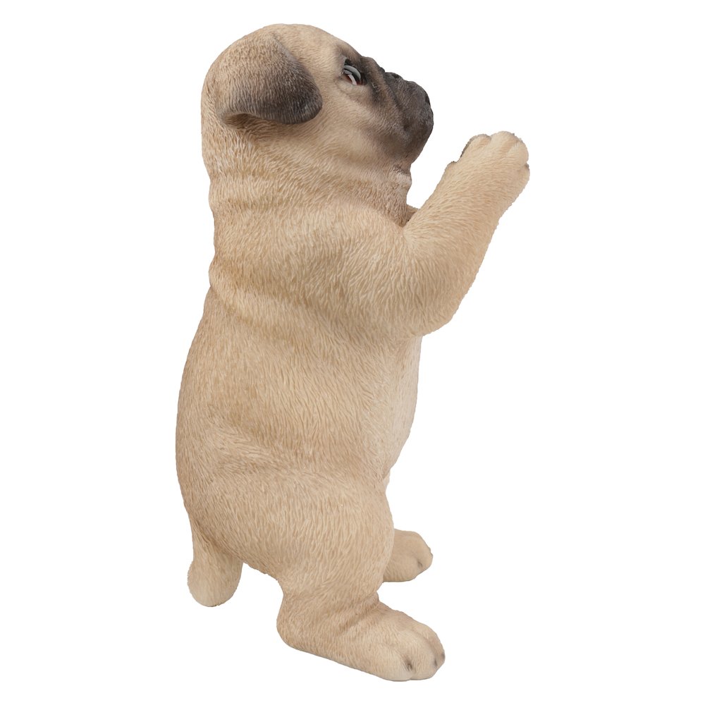 Pug Puppy Statue Praying. Picture 4