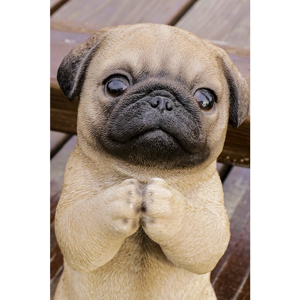 Pug Puppy Statue Praying. Picture 6