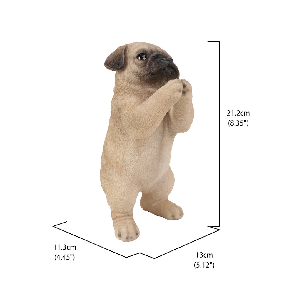 Pug Puppy Statue Praying. Picture 5