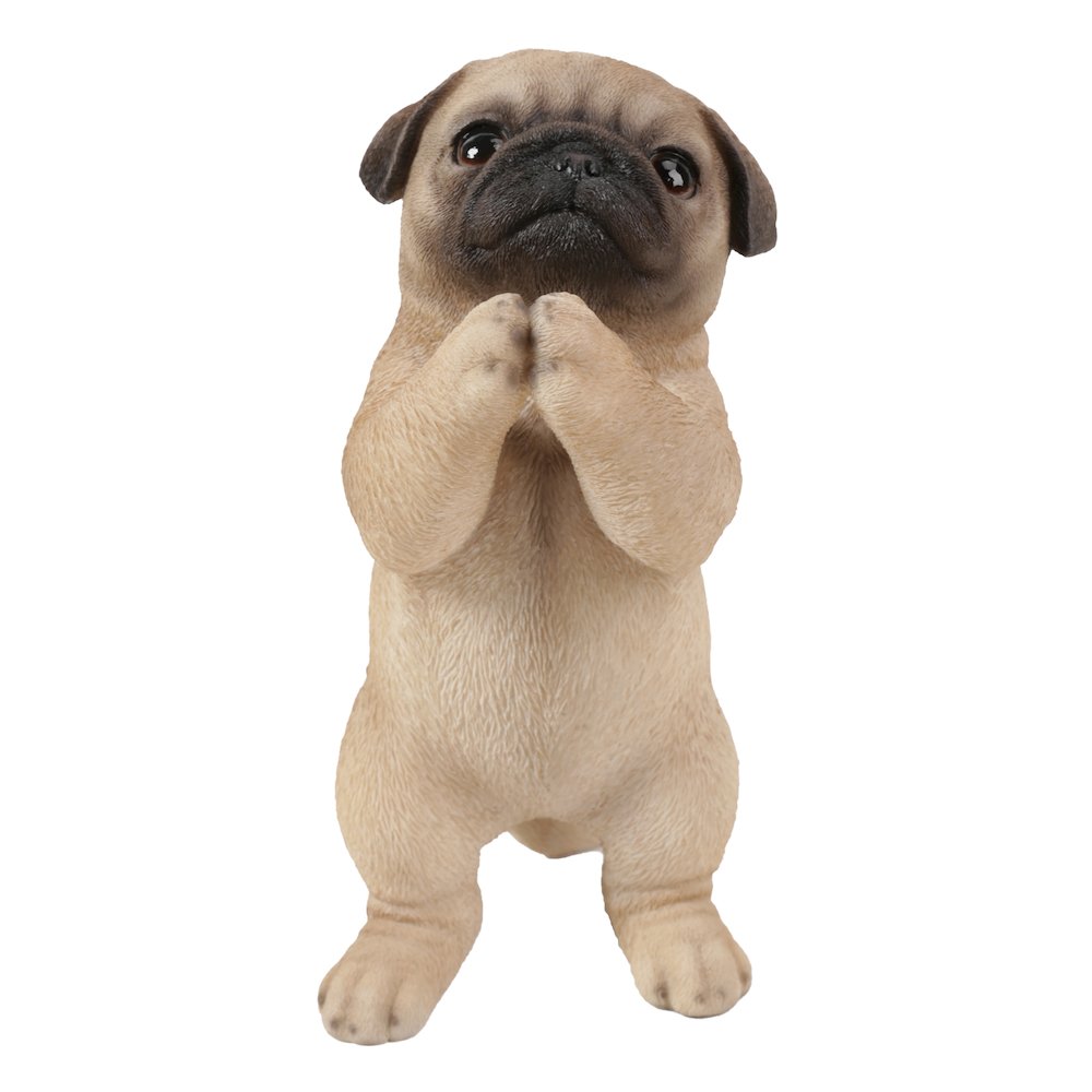 Pug Puppy Statue Praying. Picture 2