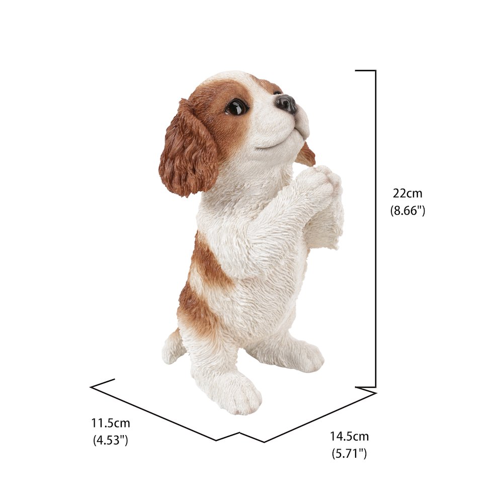 Praying Cavalier King Charles Spaniel Puppy Statue. Picture 8