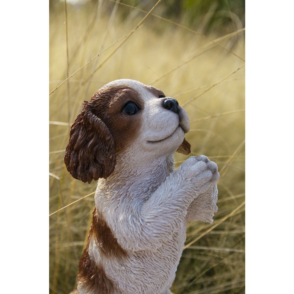 Praying Cavalier King Charles Spaniel Puppy Statue. Picture 6