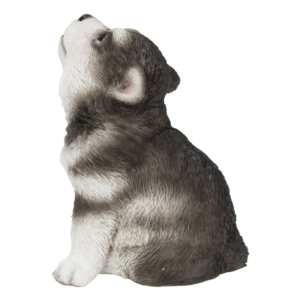 Alaskan Malamute Puppy Howling. Picture 4