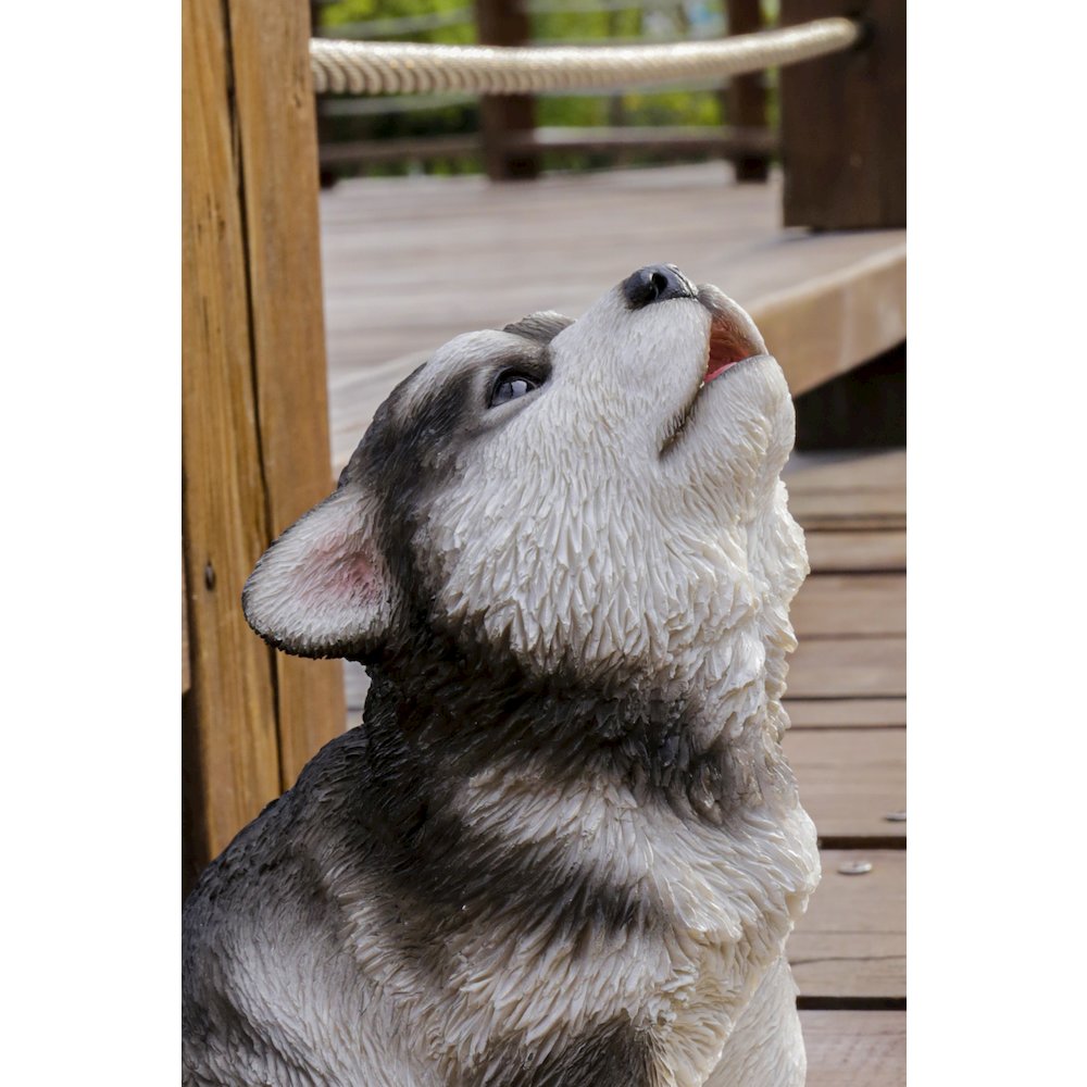 Alaskan Malamute Puppy Howling. Picture 6