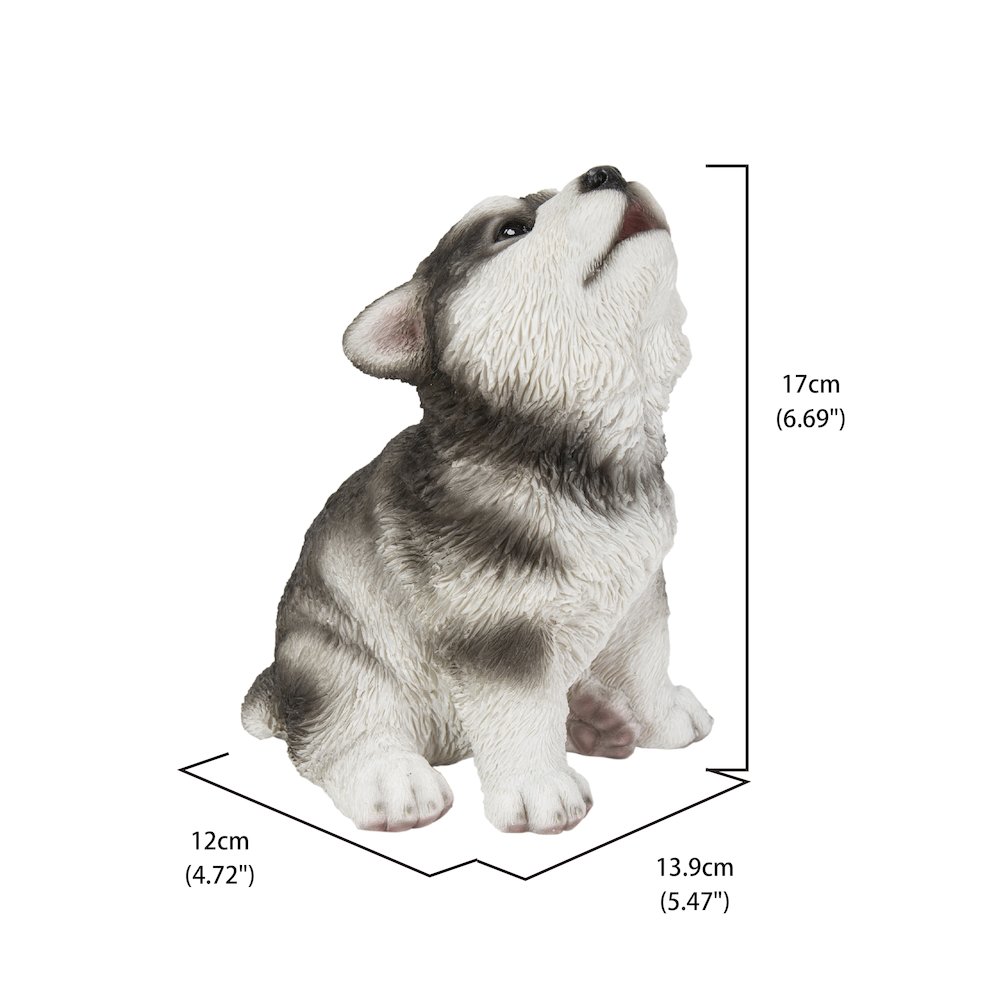 Alaskan Malamute Puppy Howling. Picture 5