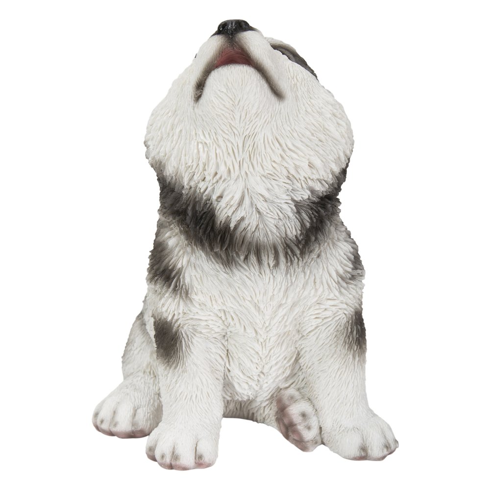 Alaskan Malamute Puppy Howling. Picture 1
