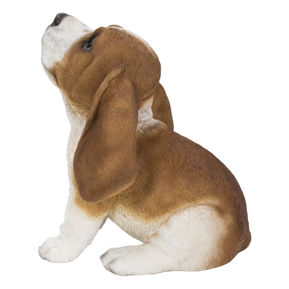 Basset Hound Puppy Howling. Picture 4