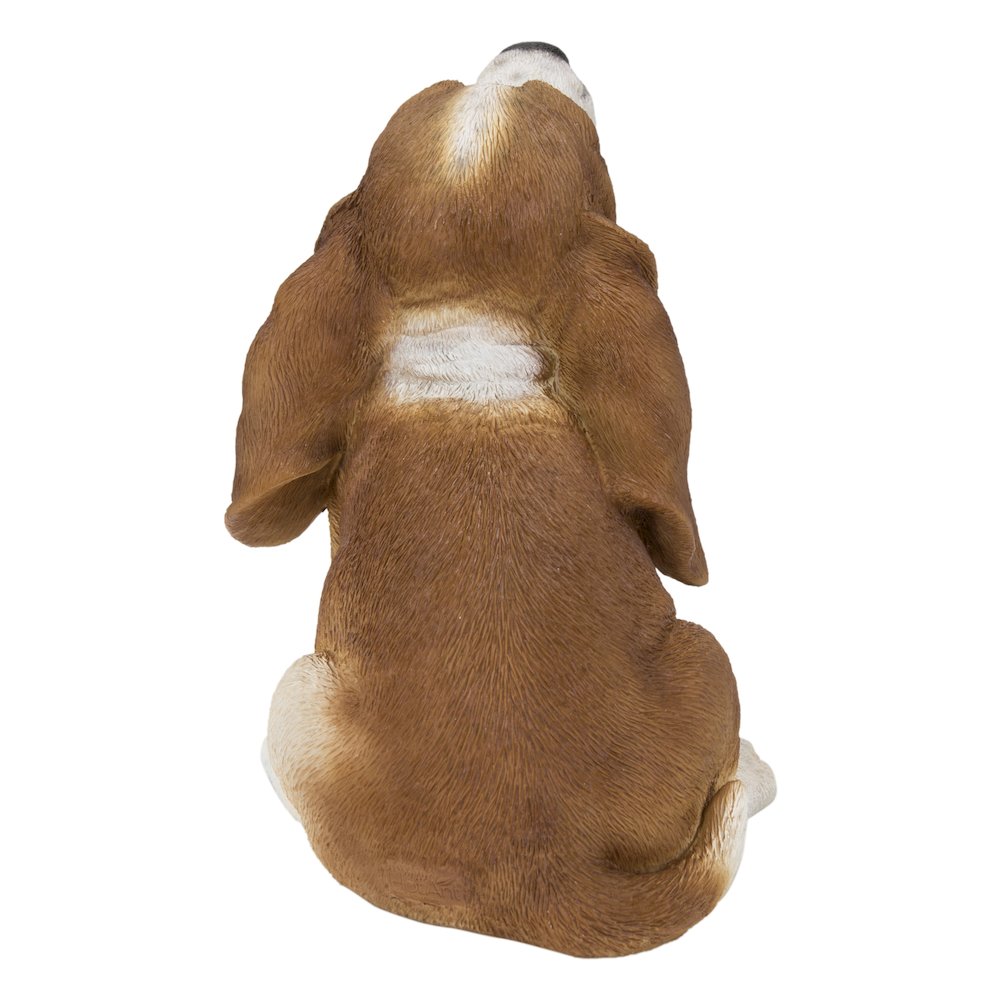 Basset Hound Puppy Howling. Picture 3