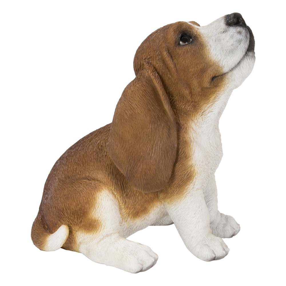 Basset Hound Puppy Howling. Picture 2