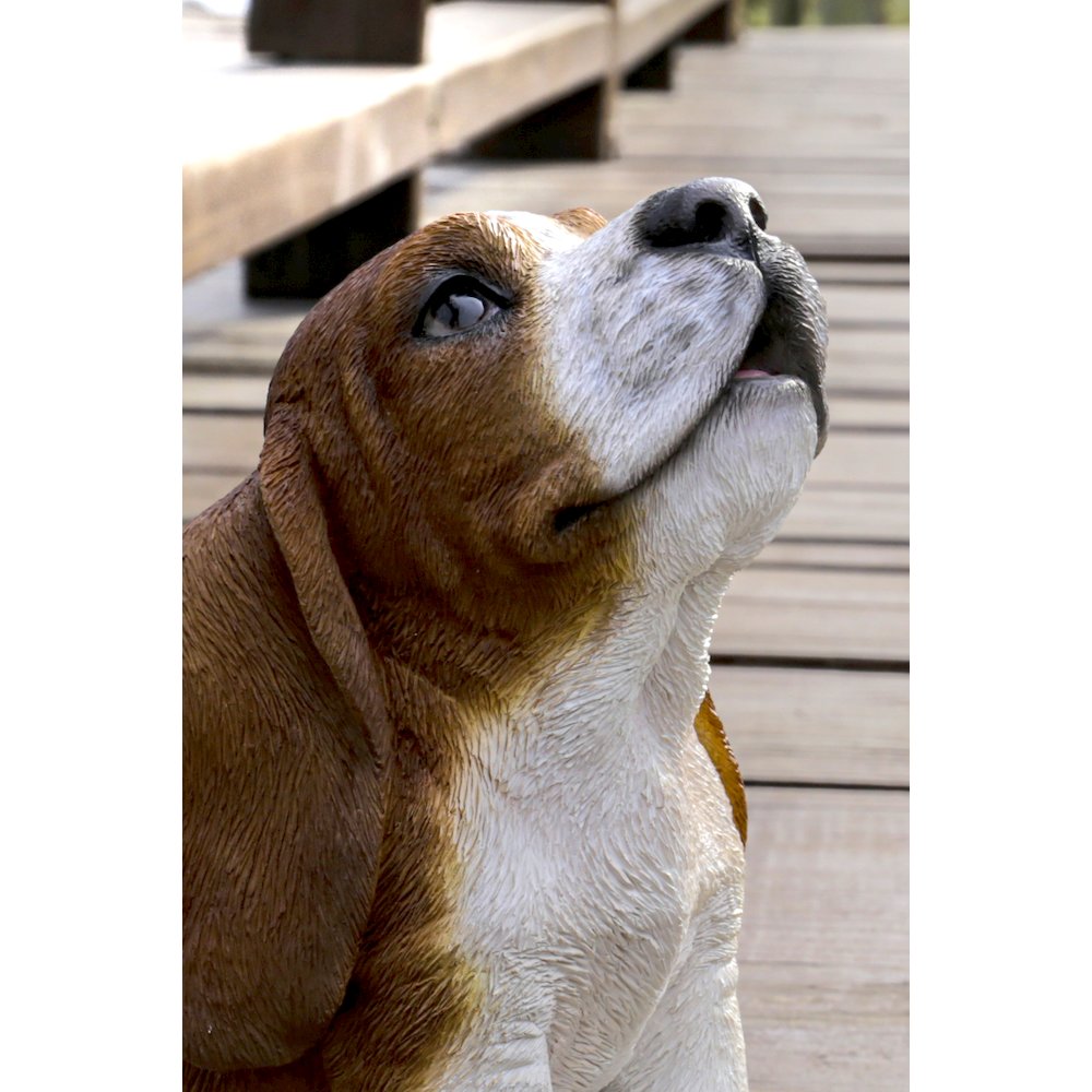Basset Hound Puppy Howling. Picture 6
