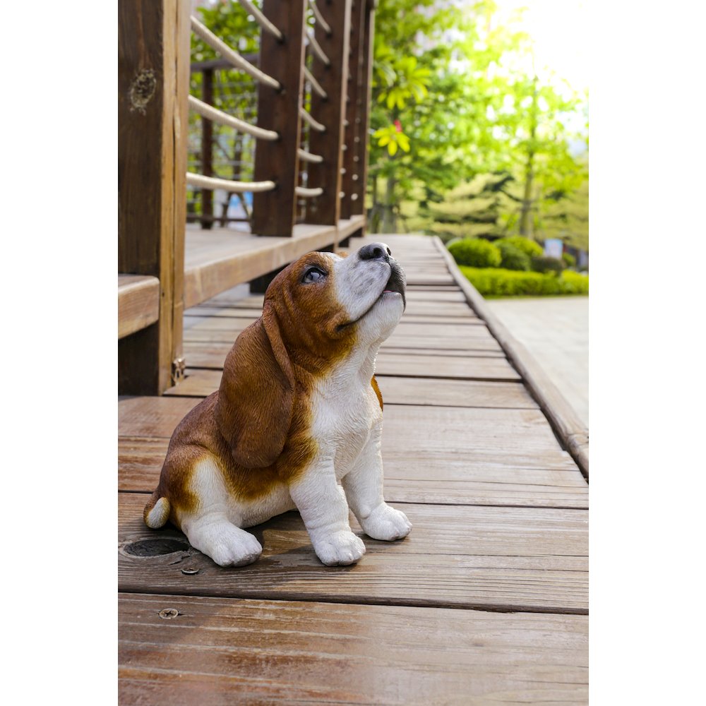 Basset Hound Puppy Howling. Picture 8