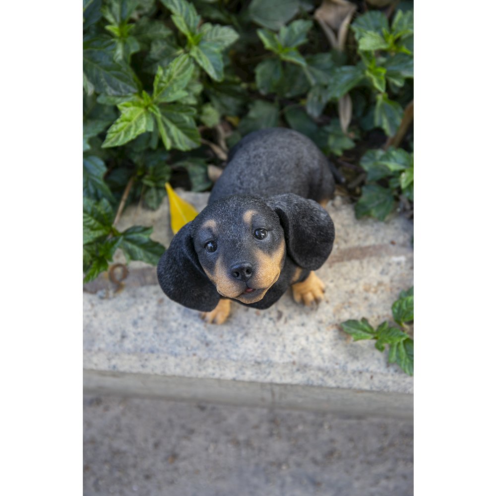 Howling Dachshund Puppy Statue. Picture 6