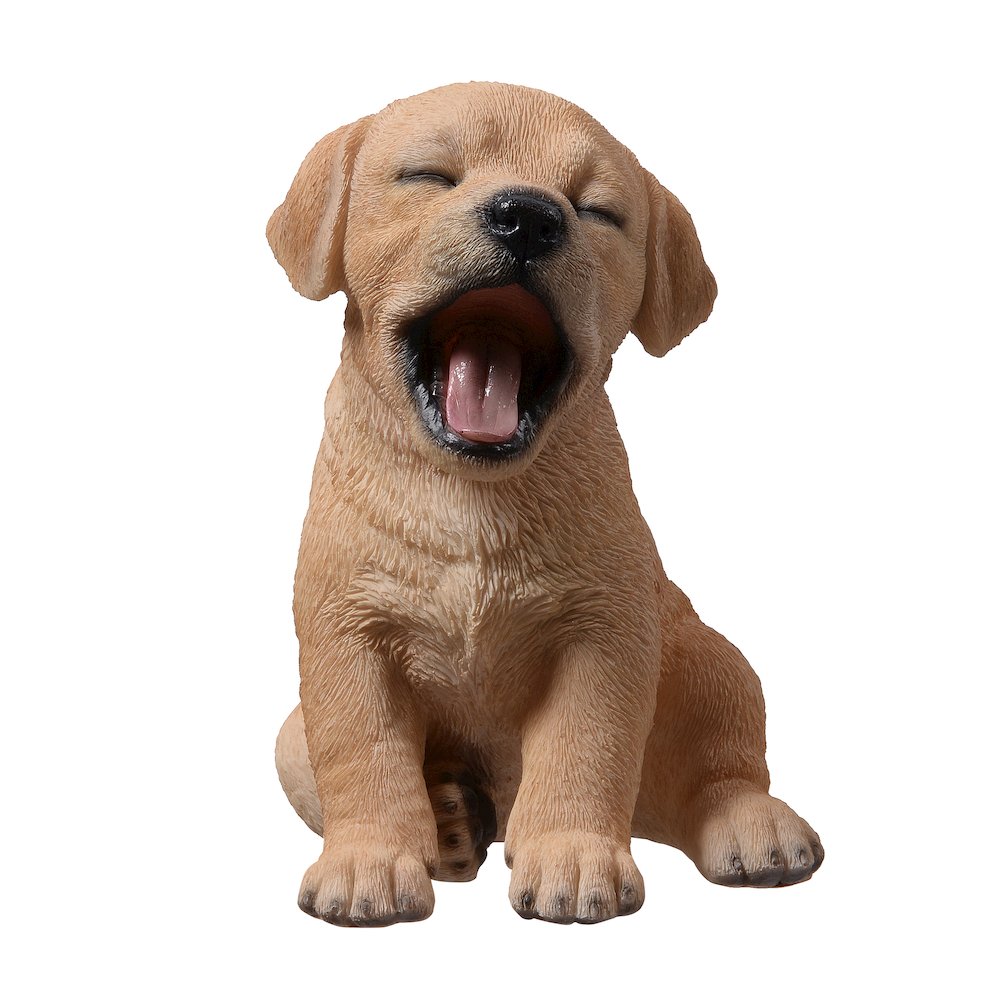 Yawning Labrador (Hi-Line Exclusive). Picture 1