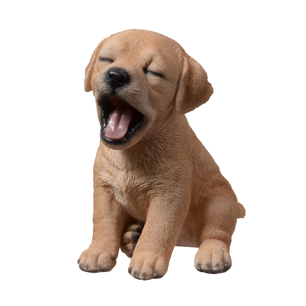 Yawning Labrador (Hi-Line Exclusive). Picture 4