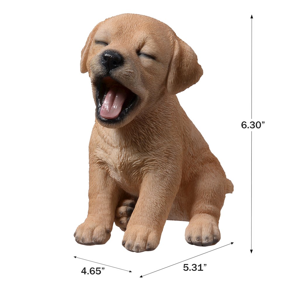 Yawning Labrador (Hi-Line Exclusive). Picture 3