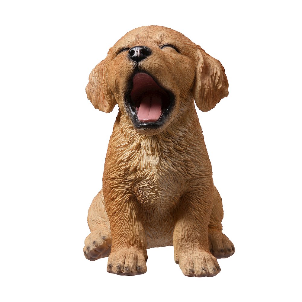 Yawning Golden Retriever (Hi-Line Exclusive). Picture 1