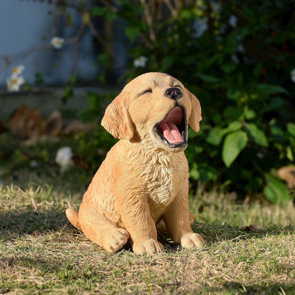 Yawning Golden Retriever (Hi-Line Exclusive). Picture 2